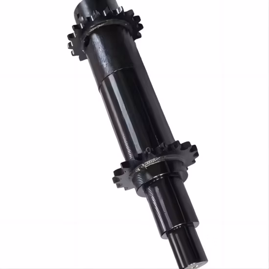 ISO Standard Industrial Motorcycle Driving Transmission Roller Chain